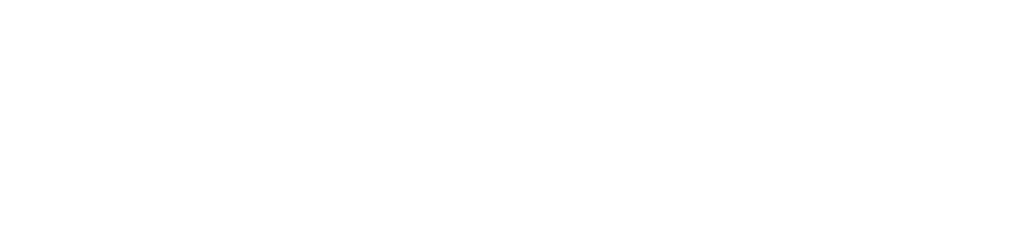 Zoominfo Partner